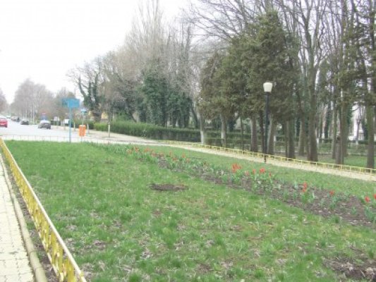 Au furat stâlpii ornamentali din Eforie